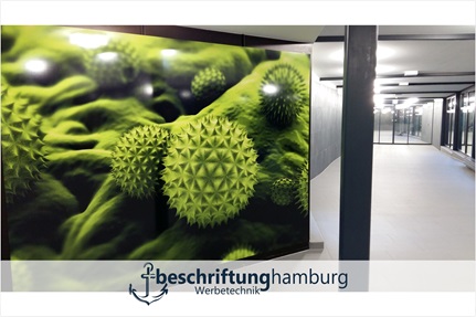 Bedruckte Klebefolien für Scheiben in Lüneburg